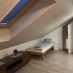 Sloneczna *
