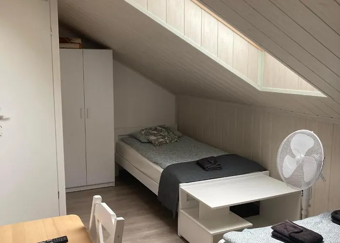 Sloneczna * Mieroszyno